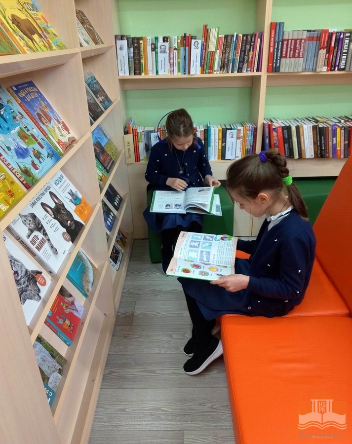 Naistenjärven kylään avattiin uuden sukupolven mallikirjasto